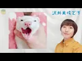 沢井美咲　投稿動画　沢井美咲のＺＡＲＤな一日