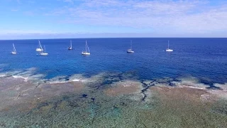 The Beautiful Sound of Whale Song (Sailing La Vagabonde) Ep. 66
