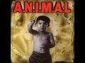 Loco pro. - A.N.I.M.A.L.