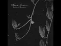 Days of Healing - Franz Gordon