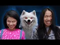 If You Ever See Your Dog Smile RUN