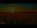 Best Sound Therapy Music Mix - Dean Evenson Sound Healing Playlist