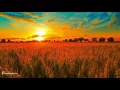 Download Lagu Best Sound Therapy Music Mix - Dean Evenson Sound Healing Playlist