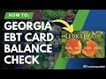 Georgia EBT Balance Check Instructions