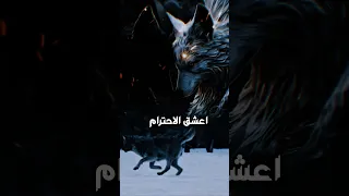 اعشق الأحترام والتقدير ولا أحب تجاوز الحدود اقنباسات عبارات حالات واتس حكم اكسبلور تصميم 