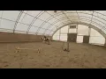 RPI Equestrian Promotional