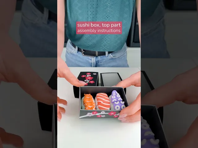 Sushi Kit for Sushi Lover, Box & Chopsticks video thumbnail