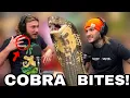 Surviving Cobra Bites with TylerNolan