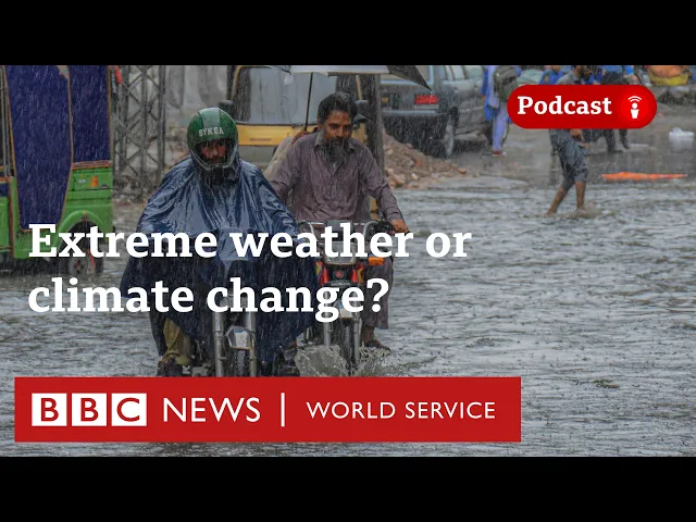 Video: Climate change or just crazy weather? The Climate Question | BBC World Service