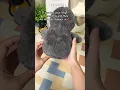 Super Cute Penguin Plush Toy - Perfect Gift