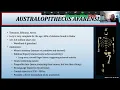 The Australopithecines - Robust Gracile Forms