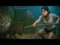 Download Lagu Detecting traces of wild porcupines, skills, setting traps to catch porcupines, wild survival alone
