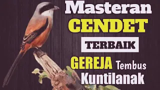 Download MASTERAN CENDET SUARA GEREJATARUNG MP3