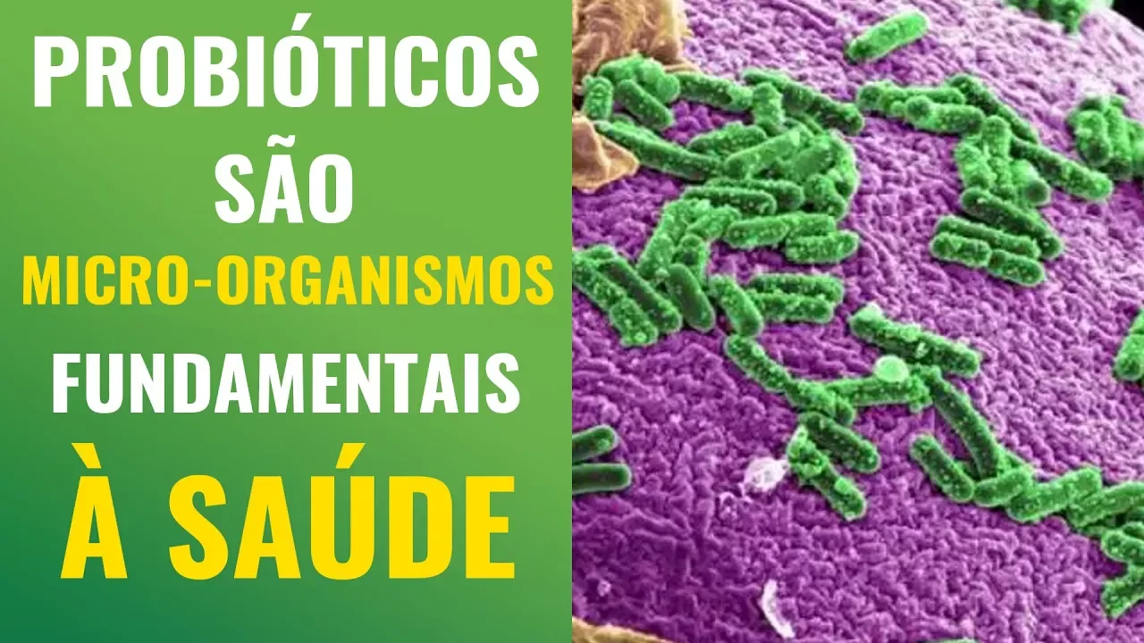 PROBIÓTICOS SÃO MICRORGANISMOS FUNDAMENTAIS À VIDA.