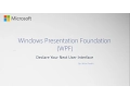 Windows Form Vs WPF Windows