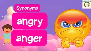 Synonyms Of Angry and Anger