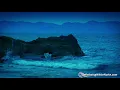 Rain Sounds for Sleep + Ocean Waves 🌊White Noise 10 Hours