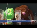 Funeral home shares name of Aulander murder victim