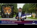 Download Lagu MOHAMED’S WIN PARTY SPARKS CONTROVERSY OVER USE OF JAGUAR SYMBOL