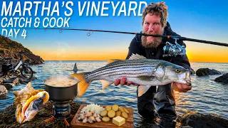 Martha's Vineyard Conch Catch & Cook | Episode 4 Chasing the Striper
