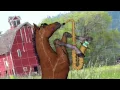 You re Correct Horse