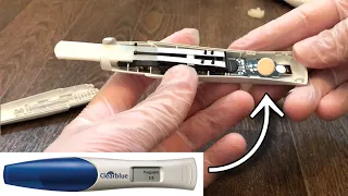 What s inside a POSITIVE pregnancy test