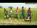 Www webmusic in