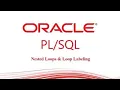 Oracle PLSQL Nested Loops Labels