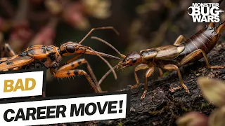 The Garbage Man Became the Garbage! | Monster Bug Wars