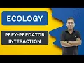 PREY-PREDATOR INTERACTION PREDATION ECOLOGY NILESH SONI