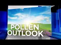 News 6 pollen forecast