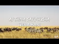 Kabza De Small, Vigro Deep, DJ Maphorisa, Scotts Maphuma - Wishi Wishi (Lyrics)