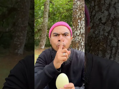 The EGG Finally Hatched! Look WHO Come Out π₯π£π₯ #camping #egg #toy #outdoors
