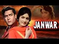 Lagu शम्मी कपूर जी की एवरग्रीन बॉलीवुड मूवी - Full Movie - Shammi Kapoor, Rajshree - Janwar Movie