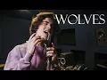 Download Lagu Selena Gomez, Marshmello - Wolves (Cover by Alexander Stewart)