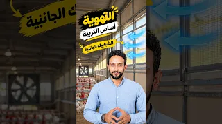 الشبابيك الجانبية مش مجرد فتحات في العنبر، دي جزء مهم من منظومة التهوية الصح دندنها
