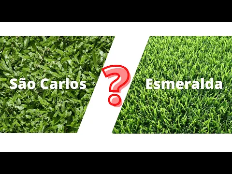 Download MP3 Grama SÃO CARLOS ou ESMERALDA? Qual a melhor opção? | #JARDIM_MM