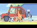 🔴LIVE: Amazing Travels 🚘 ✨ | 1 HOUR+ | Travel Games with Bluey and Bingo | Bluey