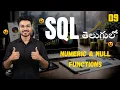 SQL Numeric NULL Functions Explained SQL For Beginners In Telugu