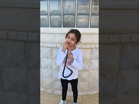 اكلت حية !