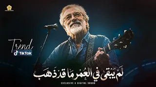  تريند تيك توك ل م يبق ى في العم ر ما قد ذه ب                مطلوب ه اك ث ر ش يء      دندنها