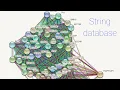 How to use string database for protein protein interaction in Urdu