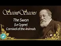 Download Lagu Saint-Saens - The Swan (Le Cygne) from Carnival of the Animals