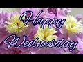 good morning wednesday flowers photos happy wednesday images