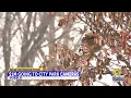 Pueblo City Council votes yes on 1 million for public park security cams
