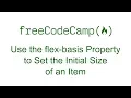 CSS Flexbox - Use the flex-basis Property to Set the Initial Size of an Item