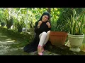 Download Lagu SINGGALANG JAYA CIPTAAN TIAR RAMON VOCAL NELVA SYAIR COVER