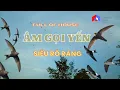 AM THANH DU YEN NGOAI TROI-RÚT CHIM YẾN VÀO NHÀ