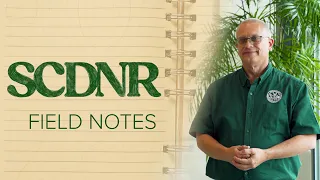 SCDNR Field Notes Ahead of the Storm