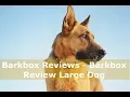 Barkbox Reviews - Barkbox Review Large Dog